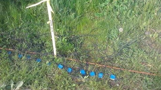 Alarm24: Na os. Borek kable ciągną się wzdłuż ulic. Po co? "To geofony"