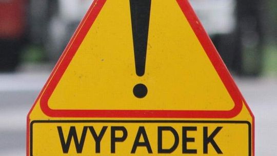 Albertów. Samochód zderzył się z dzikiem na drodze nr 82