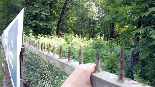 Aleja Kraśnicka: Nowe osiedle zaszkodzi przyrodzie?