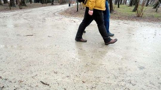 Alejki w Ogrodzie Saskim do wymiany. Zaledwie trzy lata po remoncie parku