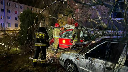 Alert IMGW dla lubelskiego. Ostrzeżenie przed silnym wiatrem