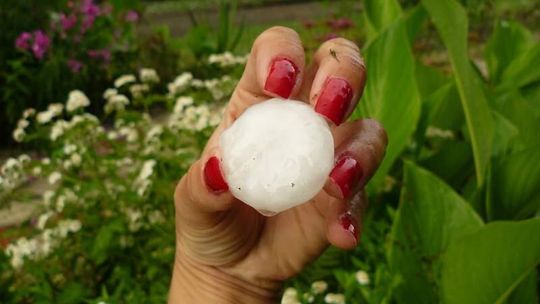 Alert pogodowy. Nadchodzą burze i wichury
