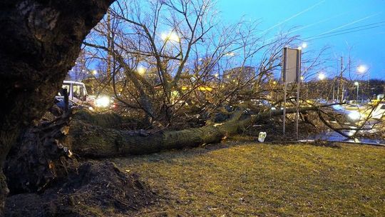 Alert Rządowego Centrum Bezpieczeństwa. SMS-y: "Zostań w domu jeśli możesz"