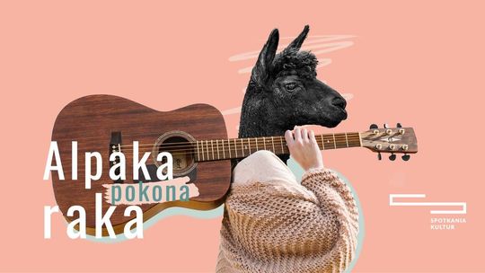 Alpaka pokona raka. Organizują koncert i aukcję charytatywną dla chorej koleżanki