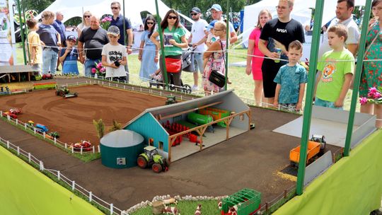 Alpaki, maszyny i nagrody dla najlepszych rolników województwa