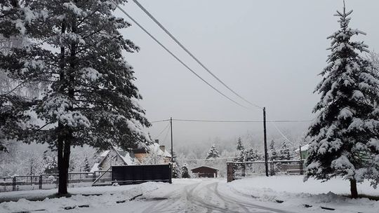 Alpina Sport Sylwester Muszyna  - każdy ciało swe wygina