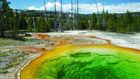 Amerykańskie krajobrazy. Wystawa w Muzeum UMCS