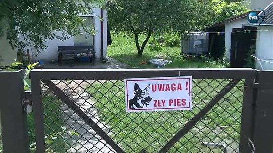 Amstaf zaatakował dzieci, w tym niemowlę. Jest śledztwo w tej sprawie