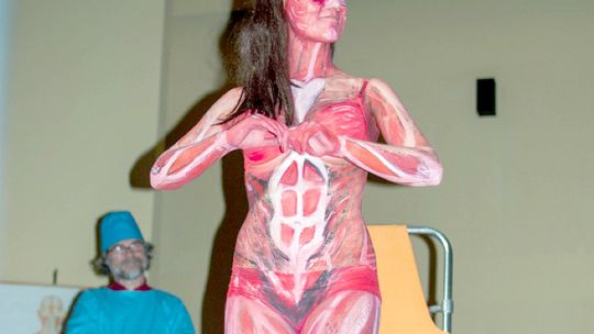 Anatomia może być przyjemna
