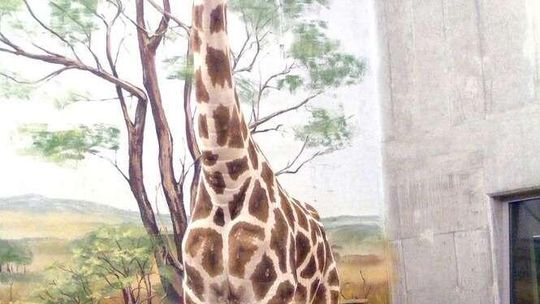 Andrzej Duda kręci film w zoo w Zamościu