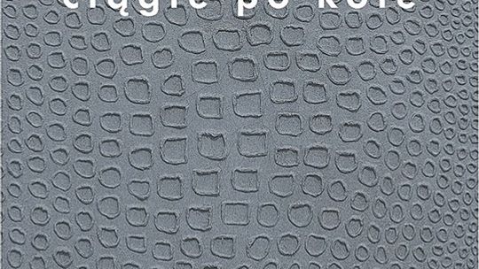 Anka Grupińska, \"Ciągle po kole”