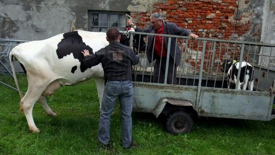 Ankieterzy przepytają rolników. Sprawdzą, z czego żyją i co mają w stodole 