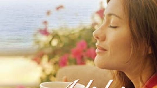 Anna Ficner-Ogonowska, \"Alibi na szczęście”