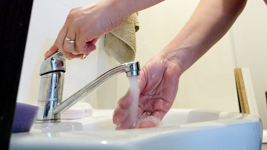 Annopol: Bakterie kałowe w wodzie