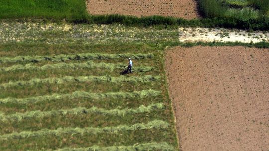 ANR: Ruszają przetargi na zakup ziemi przez rolników