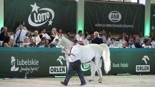 ANR zapowiada audyt aukcji Pride Of Poland
