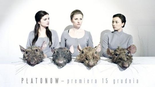 Anton Czechow \"Płatonow\" - premiera w Teatrze Osterwy