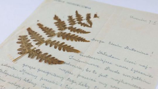 Antonina Grygowa w trakcie II wojny światowej robiła w Lublinie niezwykłe rzeczy. Muzeum dostało zbiór grypsów