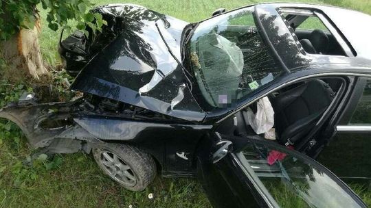 Antylopa biegała pod Michowem? Pijany kierowca z Tanzanii trochę przesadził