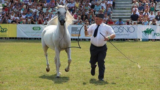 Araby sportu się nie boją