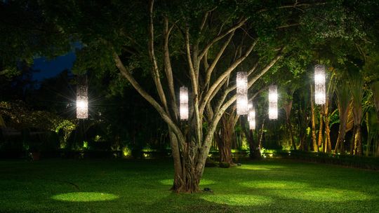 Aranżacja świetlna w ogrodzie – dlaczego jest tak istotna?