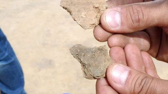 Archeologiczne odkrycie na budowie ekspresówki