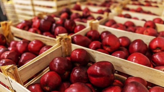 ARiMR ma środki na inwestycje zwiększające konkurencyjność gospodarstw!