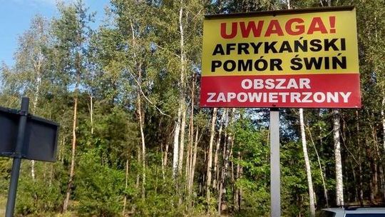 ASF. Nie wszystkim rolnikom wypłacono pieniądze