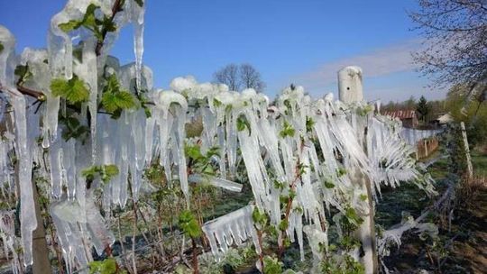 Atak zimy na Lubelszczyźnie? To możliwe. W nocy ma padać śnieg