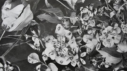 "Atlas chwastów" - wystawa w Labiryncie