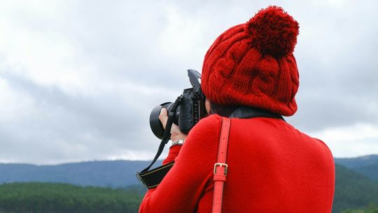 Atrakcje które warto zobaczyć w Żywcu - co warto zwiedzić?