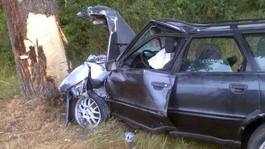 Audi wjechało w drzewo. Ranne 4 osoby, w tym dwoje dzieci