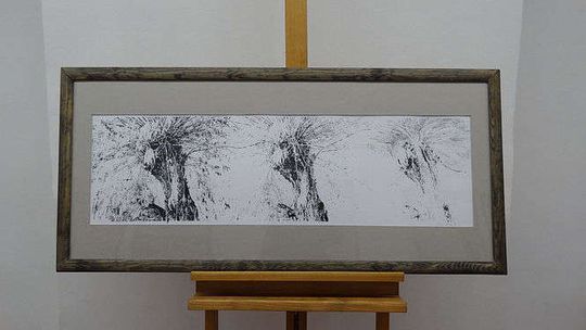 Aukcja na rzecz czworonożnych podopiecznych Fundacji Ex Lege