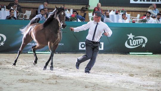 Aukcja Pride of Poland z zaproszeniami. "Jesteśmy zszokowani"