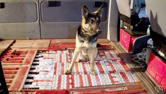 Auta przemytników pójdą pod młotek