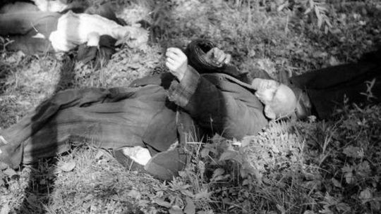 Autentyczne zdjęcia z rzezi wołyńskiej mogą trafić do filmu Wojciecha Smarzowskiego