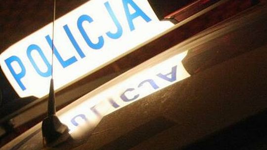 Auto zderzyło się z łosiem na obwodnicy Kraśnika