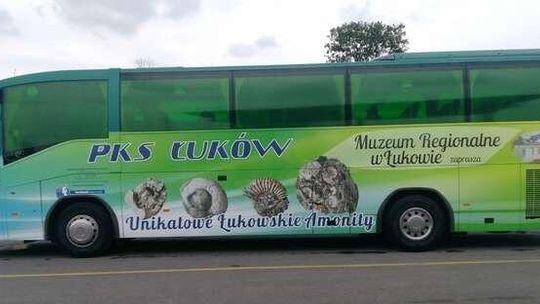 Autokar PKS Łuków z amonitami. Tak promują muzeum