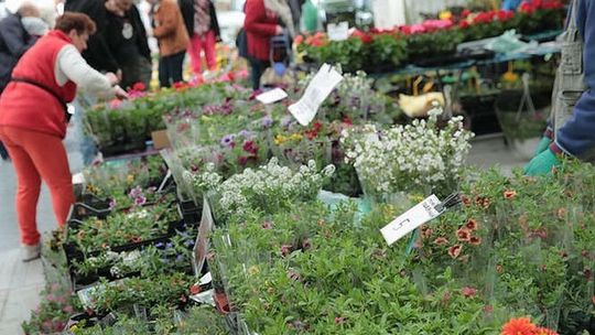 Aż trzy imprezy w Targach Lublin, w tym kiermasz ogrodniczy