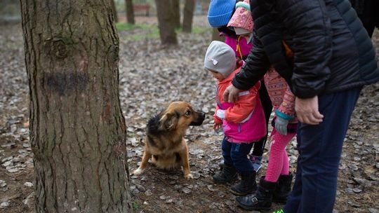 "Azyl" co roku wygrywa konkurs. Przewodniczący rady miasta apeluje o zmianę regulaminu