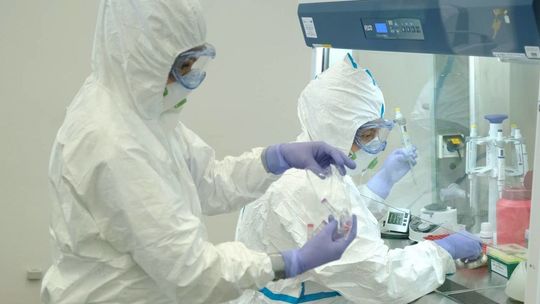 Badacze prognozują, jak zmieni się epidemia SARS-CoV2 w ciągu dekady