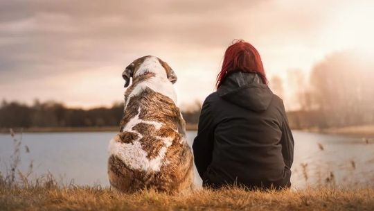 Badania tysięcy próbek potwierdzają, że psy i koty nie przenoszą koronawirusa