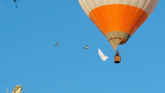 Balony zawładnęły niebem nad Lublinem