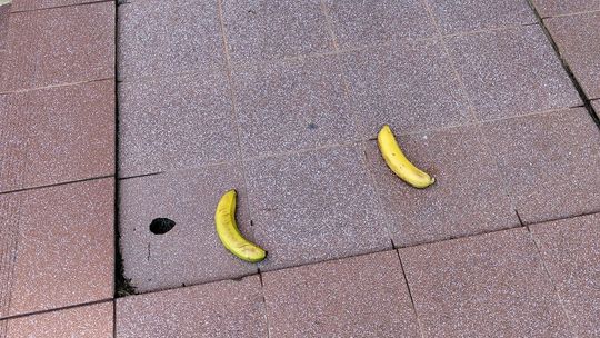 Banany porozrzucane po szkole. Dyrektor w szoku: „Nasi uczniowie tak postępują z żywnością” 