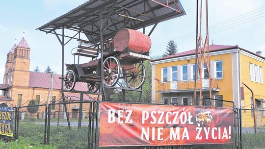 Banerowa akcja sołtysa wsi Studzianki. Wszystko po to aby ratować pszczoły