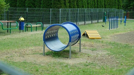 Bankomat nasion czy wybiegi dla psów? W Świdniku mają zdecydować mieszkańcy