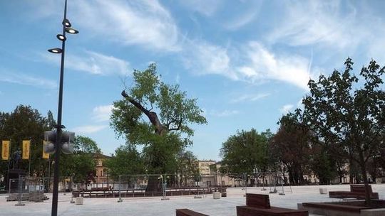 Baobab zetną we wtorek rano