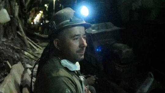 Barbórka w cieniu zielonej rewolucji