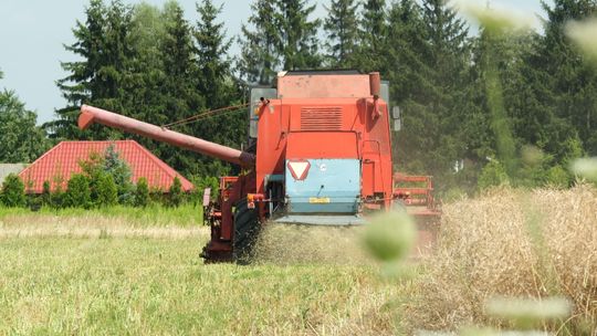 Bardzo duże zmiany na wsi przez 500 plus. Lubelskie nadal stoi burakiem