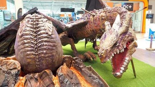 Baśniowe smoki w Lublinie. Wystawa w Felicity